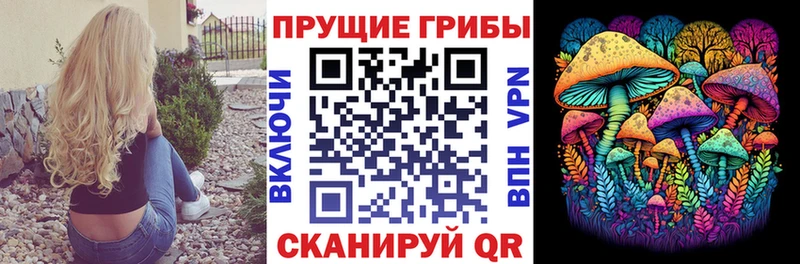 Галлюциногенные грибы Psilocybine cubensis  где продают наркотики  Городовиковск 