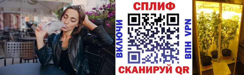 дарнет шоп  Городовиковск  Бошки Шишки сатива 
